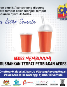 Aedes: Jom Kitar Semula